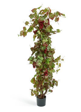 Виноградная лоза с красным виноградом 160 см