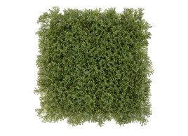 Коврик газон Медовый Мох