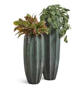 Сет № 108 - Композиция в высоких кашпо Treez Effectory Aura