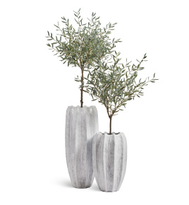 Сет № 117 - Композиция с оливами Prime в кашпо Treez Effectory Aura