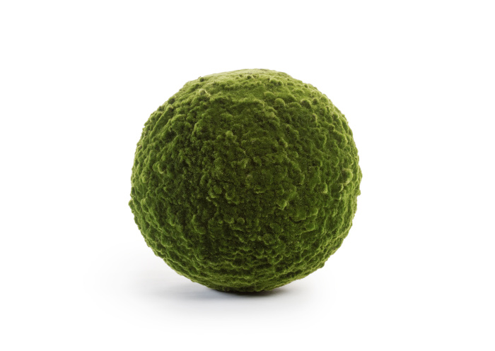 Шар из мха (Арт-объект) фото