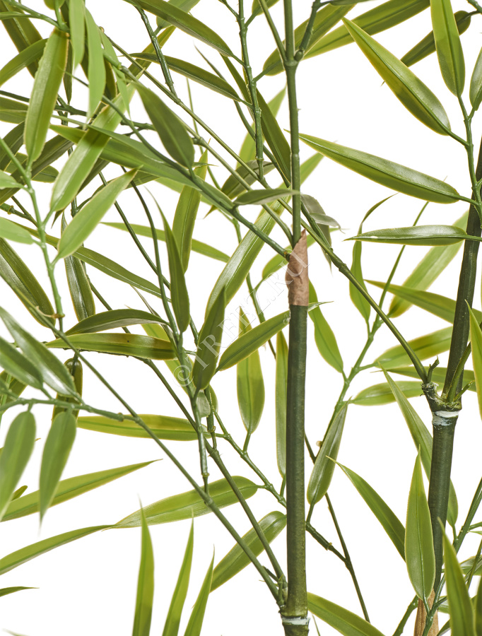 Бамбук японский Style (с UV-фильтром)  фото