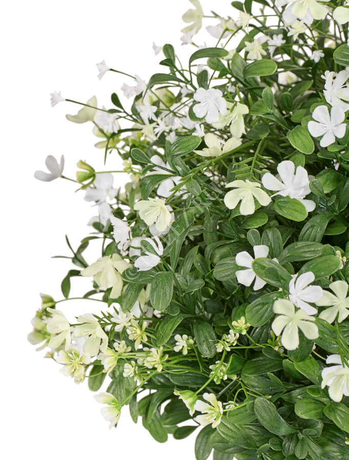 Альпийское разнотравье с белыми цветами (3 размера) фото