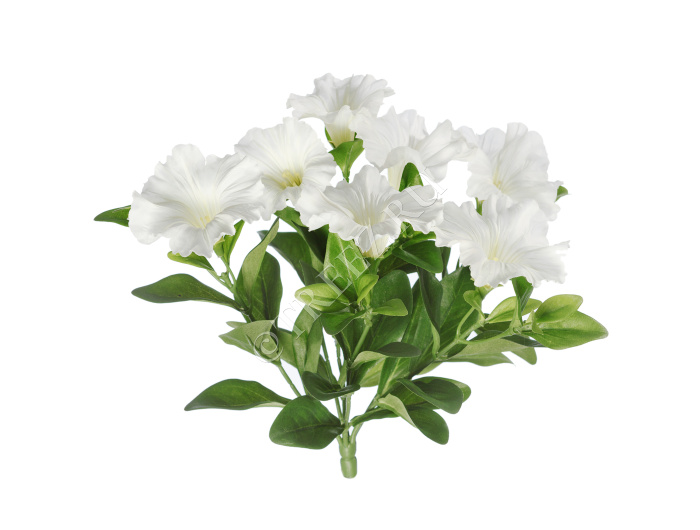 Петуния куст белый фото