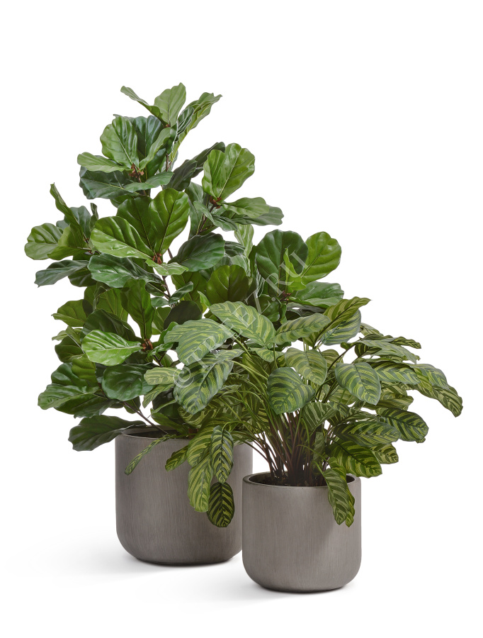 Кашпо TREEZ ERGO - Just - Цилиндр - Мокко фото