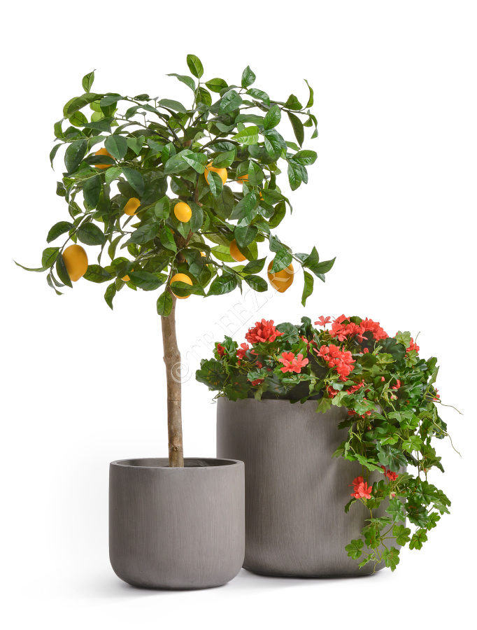 Кашпо TREEZ ERGO - Just - Цилиндр - Мокко фото