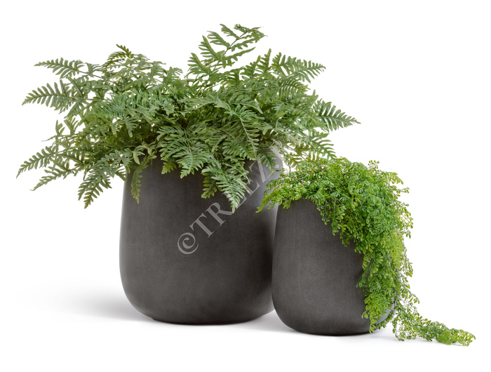 Кашпо TREEZ Effectory - Beton - Design-Чаша - Тёмно-серый бетон фото