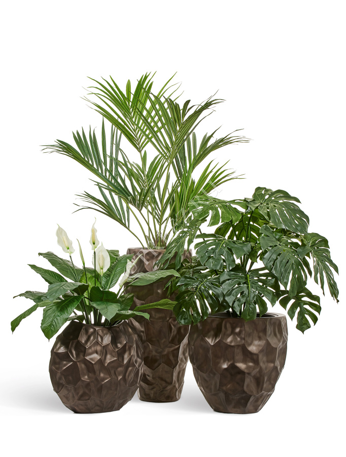 Кашпо TREEZ Effectory - Metal - Округлая чаша Design Crumple - Чернёная бронза фото