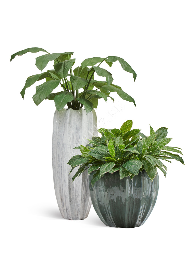 Кашпо TREEZ Effectory - Aura - Чаша - Изумрудный лак фото