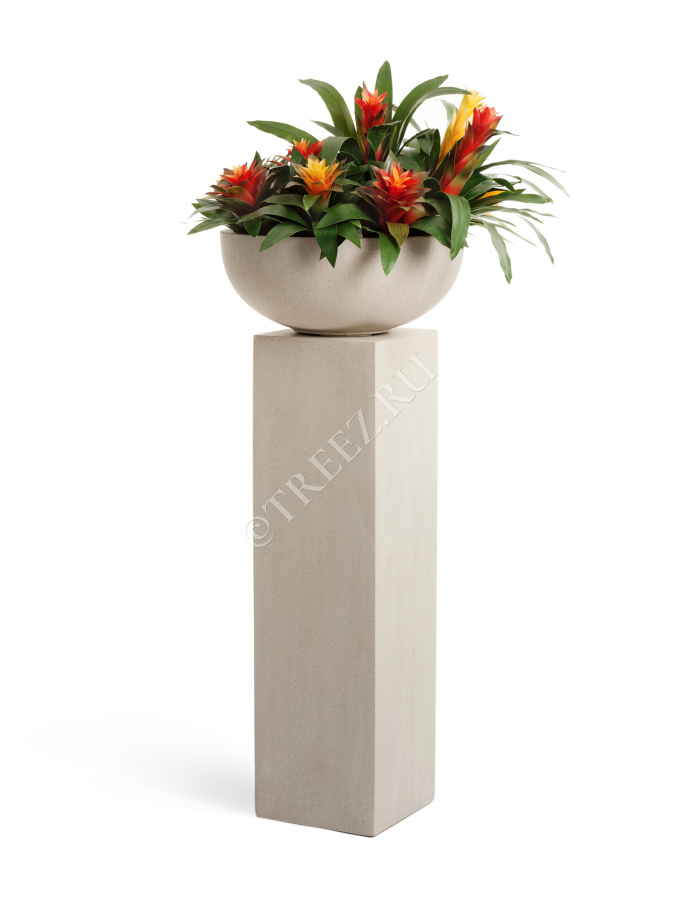 Кашпо TREEZ Effectory - Beton - Низкая сферическая чаша - Белый песок фото