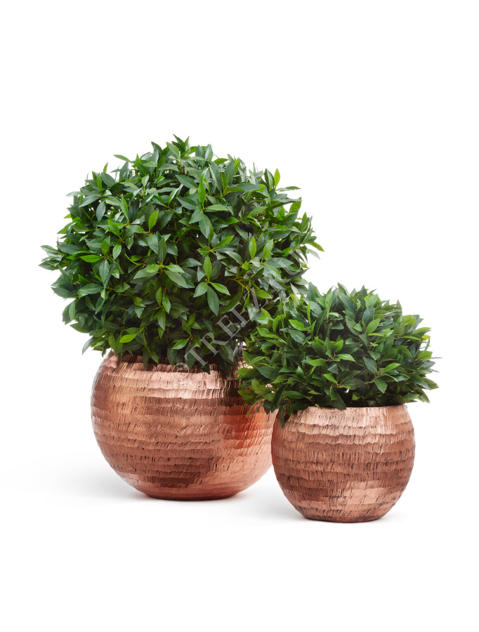 Кашпо TREEZ Effectory - Metal - Полусфера - Розовая медь Чеканка фото