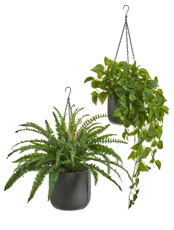 Сет № 9 - Папоротник и филодендрон в кашпо Treez Effectory Beton Чаша тёмно-серый бетон фото