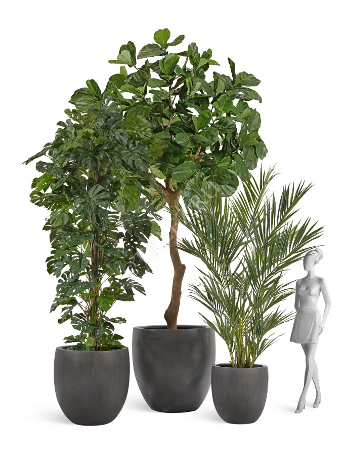 Сет № 19 - Композиция с Фикусом Лирата Гигант и Монстерой в кашпо Treez Effectory Beton фото
