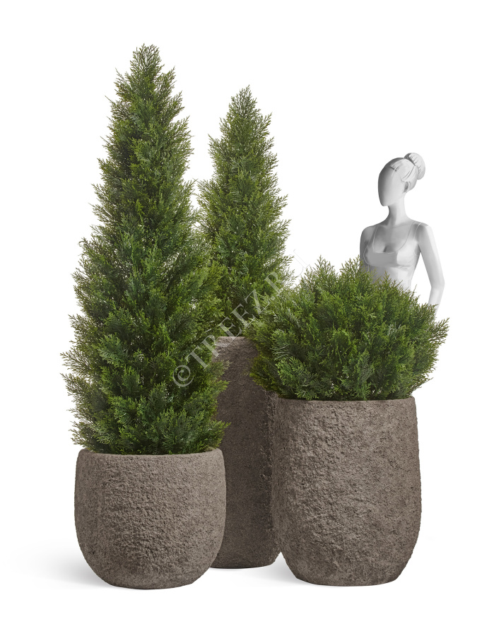 Сет № 25 - Композиция с Туями Брабант в кашпо Treez Effectory Terra фото
