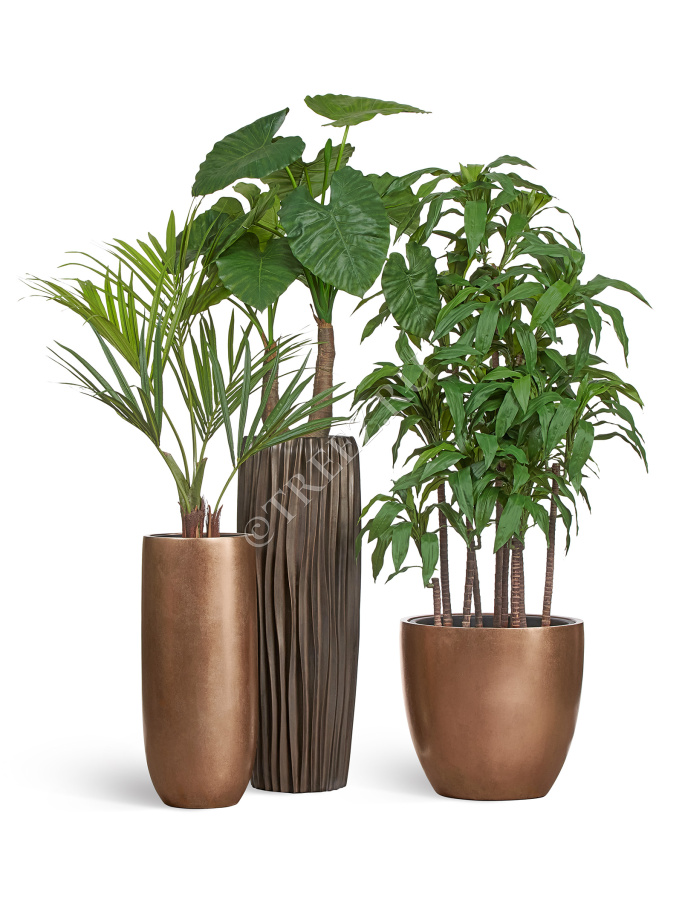 Сет № 41 - Композиция в бронзовых кашпо Treez Effectory Metal фото