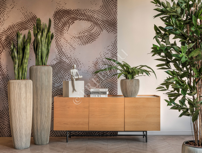 Сет № 42 - Композиция в кашпо Treez Effectory Wow Капучино фото