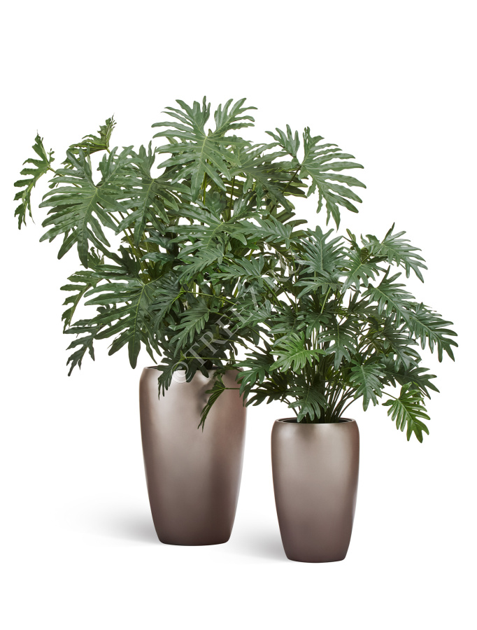 Сет № 105 - Композиция с филодендронами в матовых кашпо Treez Effectory Metal фото