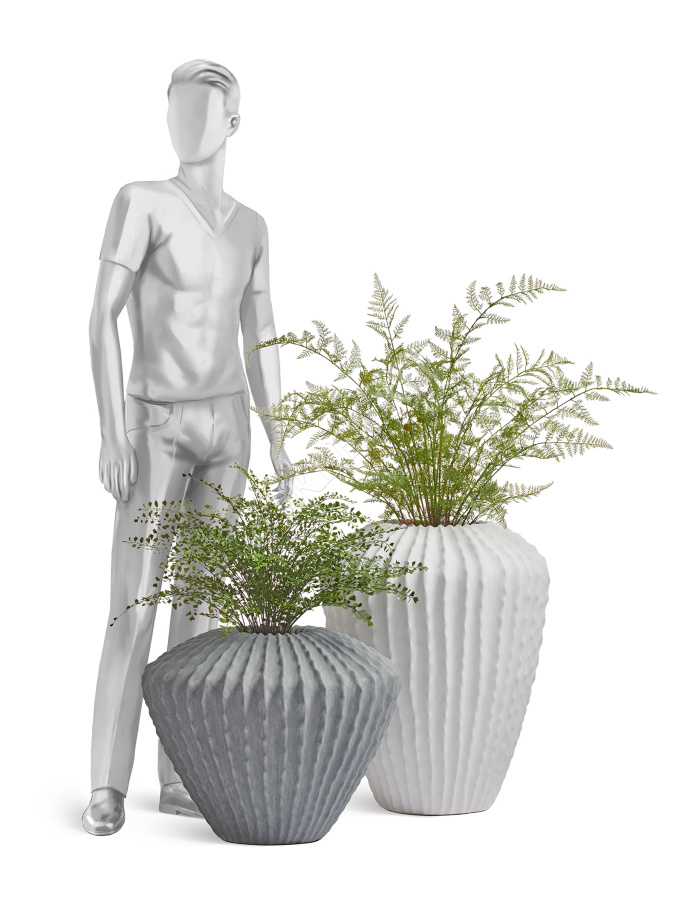 Сет № 107 - Композиция с папоротниками в кашпо Treez Effectory Moho фото