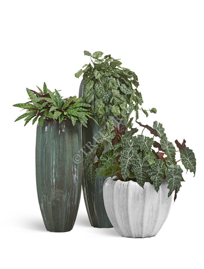 Сет № 109 - Композиция напольная в кашпо Treez Effectory Aura фото