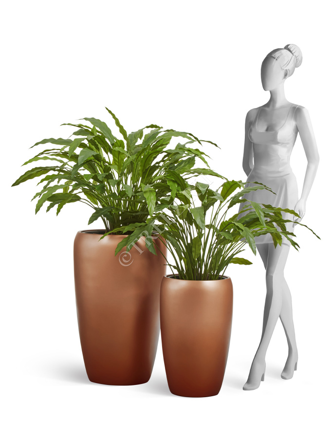 Сет № 115 - Композиция с калатеями в кашпо Treez Effectory Metal фото