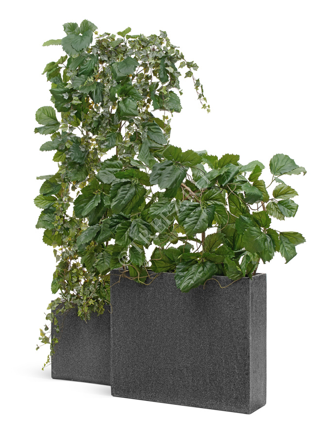 Сет № 134 - Композиция с тетрастигмой и плющом в кашпо Treez Effectory Stone фото