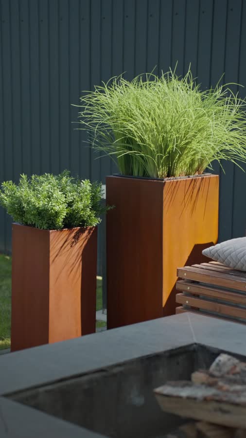 Трава Оньон куст большой фото