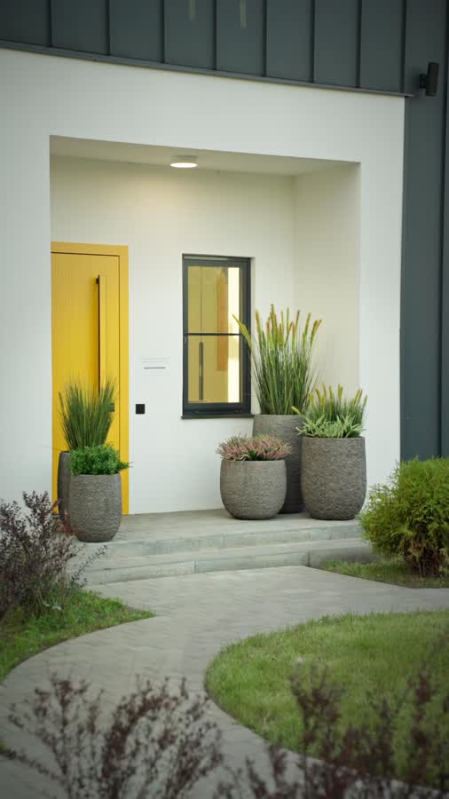 Трава Осока Элеганс куст с зелёными султанами фото