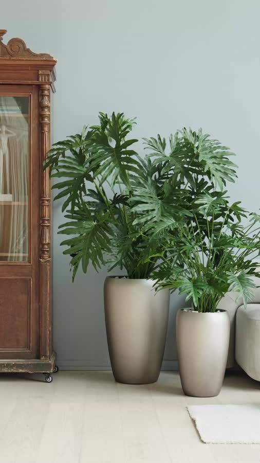 Кашпо TREEZ Effectory - Metal - Высокий округлый конус - Лаковое тёмное серебро фото