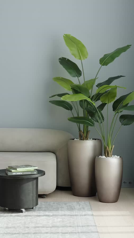 Сет № 102 - Композиция со стрелициями в матовых кашпо Treez Effectory Metal фото