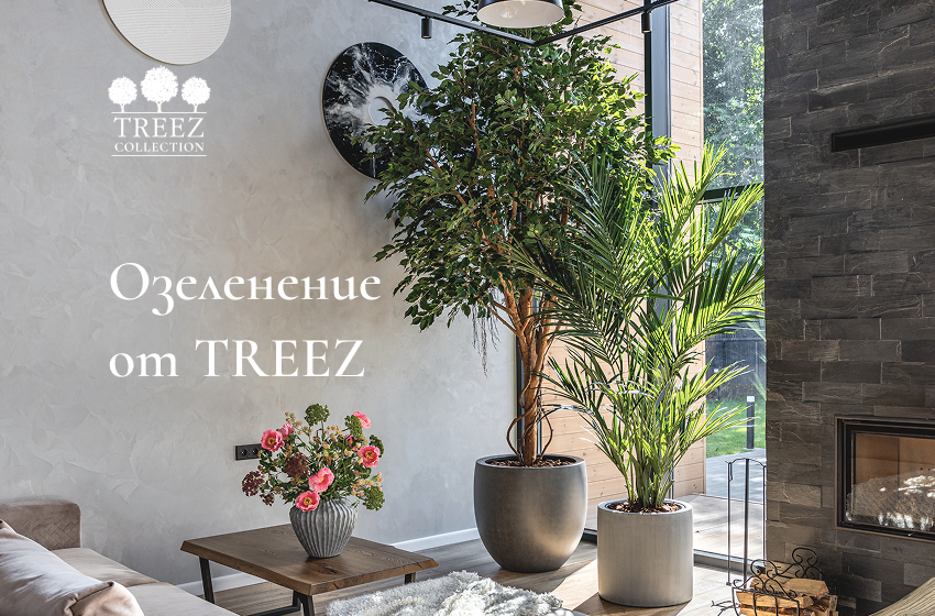 Озеленение интерьера: как дизайнеру легко вписать его в свой проект