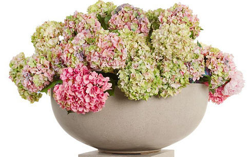 Treez представляет новую коллекцию дизайнерских кашпо